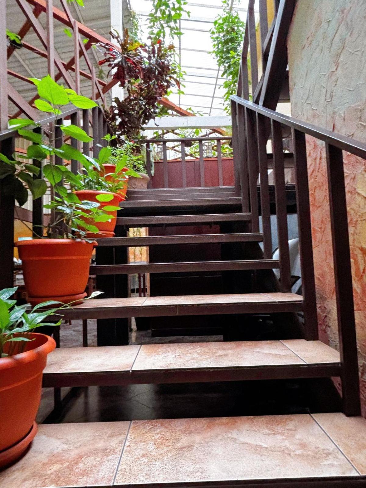 Antigua Inn Hotel Guatemala City Ngoại thất bức ảnh