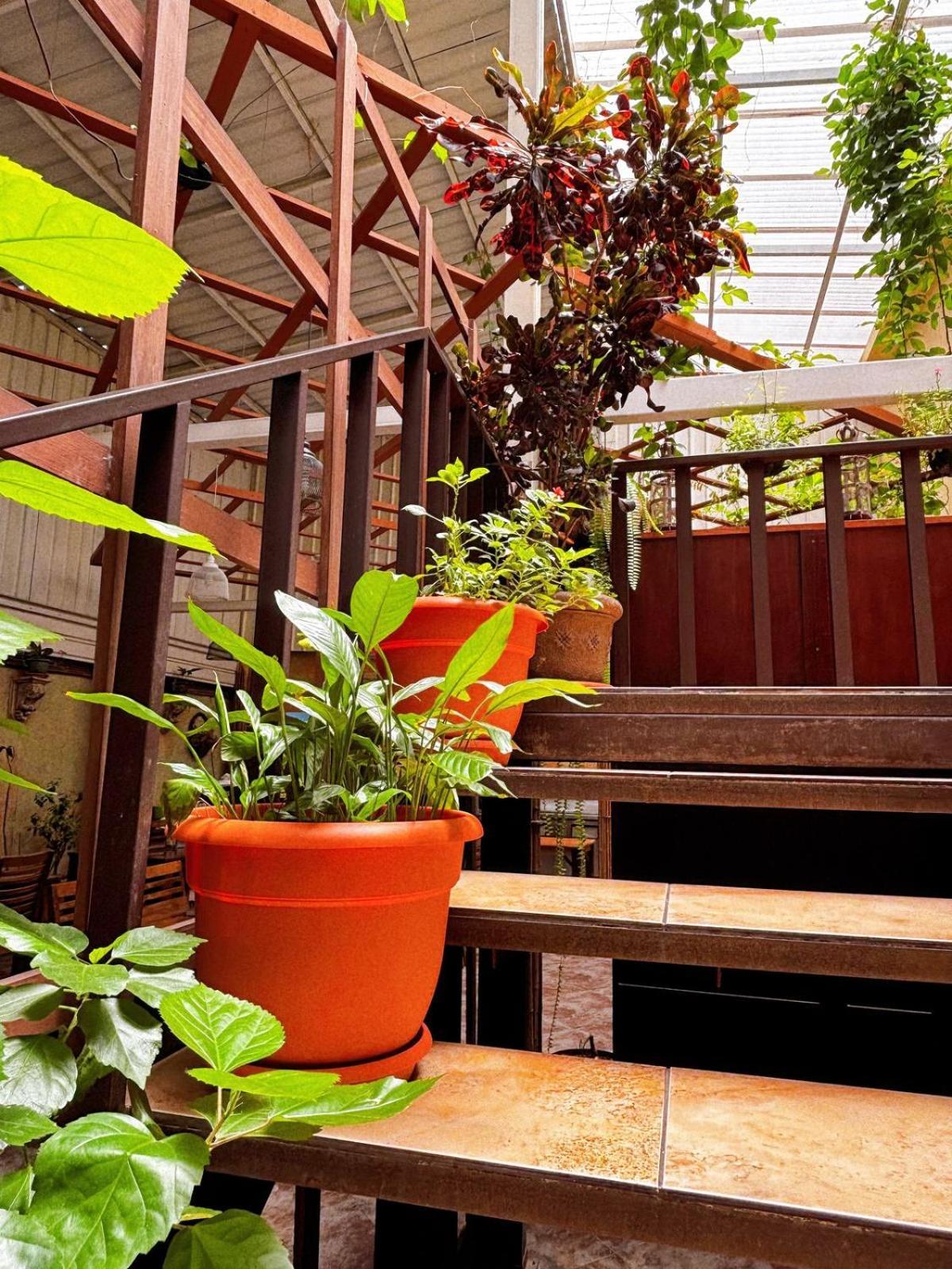 Antigua Inn Hotel Guatemala City Ngoại thất bức ảnh